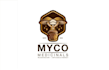 medicinal mushroom logo infused honey magic