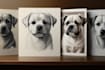 draw a beautiful pet portrait from a photo