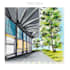 draw hand drawn architectural illustrations for houses