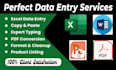 professional data entry, excel marge sheet data entry,