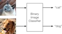 do custom yolo object detection and image classification