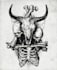 draw ink and pencil illustration for you