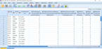 do quick advanced data analysis with report using spss and excel within 24 hour