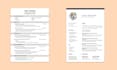 do professional cv design and resume design to get your dream jobs