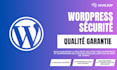 perform a wordpress website security assessment and protection