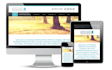 build custom web apps using blazor aspnet mvc and web API cicd azure