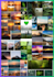 make amazing photo collage from your pictures