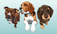 do animals cartoon illustration