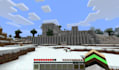 play minecraft with you