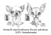 draw a custom pet caricature in pencil
