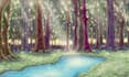 draw beautiful nature illustrations