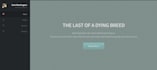 create a stunning pixel perfect website