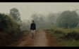 do oil paint video animation
