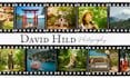 be your photographer in hakone