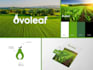 do creative modern, website logo design and brand identity