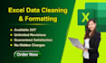 do data cleaning, data preprocessing, data mining in python or excel