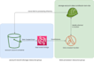 develop microservices on AWS, azure using java