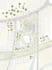 create and render architectural plans, sections and elevations