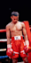 help you become a good boxer,bodybuilder,fighter