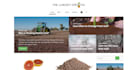 create a professional responsive wordpress blog