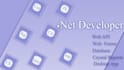 develop expert custom asp dotnet web and desktop application