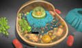 create 3d medical animation for pharma moa and medical devices