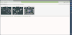 do configure cacti server