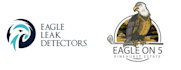do modern eagle,gambling,mosque  logo design with copyrights