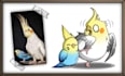 draw your pet in a cartoon style