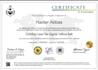 optimize your business with expert lean six sigma process improvement