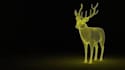 create 3d character in blender