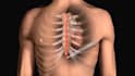 3d medical animation, 3d biomedical animation, 3d surgery, anatomy animation vfx