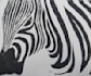 create a custom lino print for you