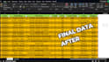 do professional excel data cleaning and formatting