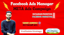 setup effective meta ads campaign and instagram ads