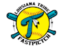 design luxury softball logo