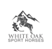 make modern animal, dog, pet, horse farm logo and any graphic design