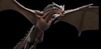 create 3d dragon animation 3d animal model and design 3d dragon animation