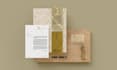 design an exclusive branding visual identity kit with logo