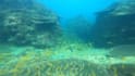 record your greeting message underwater
