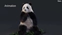 create stunning 3d animal animation rigging modeling and vfx for game and films