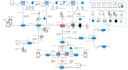 setup eve ng, cisco packet tracer and gns3 lab