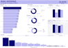 do data cleaning, visualisation, analysis, ml on python, r, power bi
