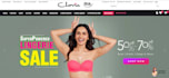 create custom shopify website design, website devlopment