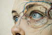 do medical and scientific illustration