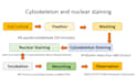 help you in making powerpoint presentations on ms powerpoint