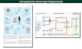 design scientific, educational figures and illustrations