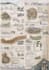 design architectural presentation boards, panels, and posters