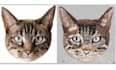 convert any picture into embroidery digitizing in wilcom