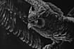 make dark illustration with engraving approach